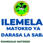 NECTA Matokeo ya Darasa la saba Ilemela, PSLE 2023-24 Results Release Out