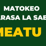 NECTA Matokeo ya Darasa la saba Meatu, PSLE 2023-24 Results Release Out