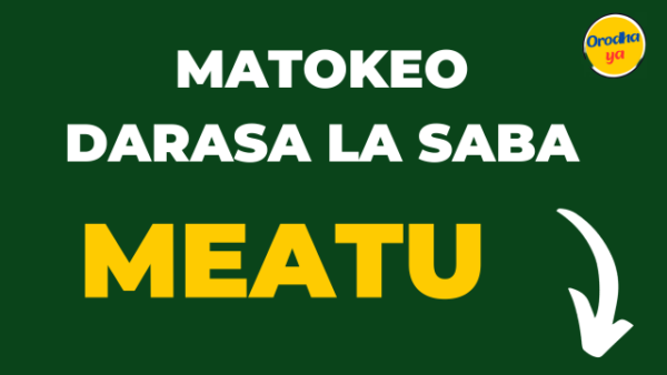 NECTA Matokeo ya Darasa la saba Meatu, PSLE 2023-24 Results Release Out