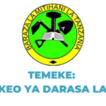 NECTA Matokeo ya Darasa la saba Temeke, PSLE 2023-24 Results Release Out