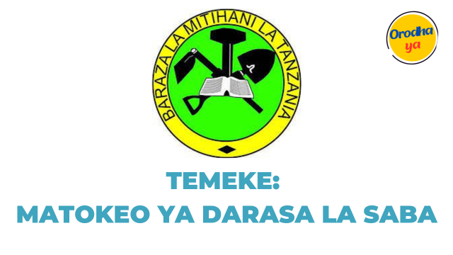 NECTA Matokeo ya Darasa la saba Temeke, PSLE 2023-24 Results Release Out