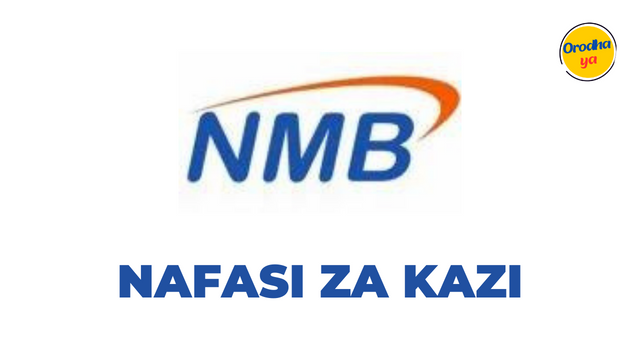 Program Manager Jobs at NMB Bank (Fixed Term 2 years) - November 2023