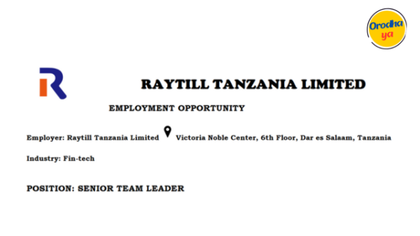 Senior Team Leader Jobs at Raytill Tanzania Limited - November 2023