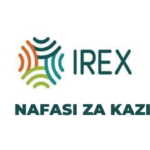 Senior Technical Lead Jobs at IREX - November 2023 Apply