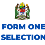 TAMISEMI Form One Selection 2024-25 Release Check Out