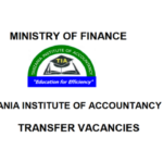 Tanzania Institute of Accountancy (TIA), 19 Transfer Various Jobs Vacancies