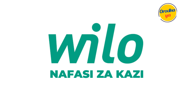 WILO Recruitment: (Country Manager Jobs Vacancies) November, 2023