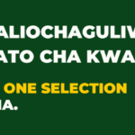 Waliochaguliwa kidato cha kwanza 2024-25, Form one Selection Pdf Check Out