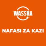 Wassha Inc: (Assistant Accounting) Team Leader Jobs Vacancies
