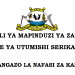 1072 New Various Jobs at Ministry of Health Zanzibar