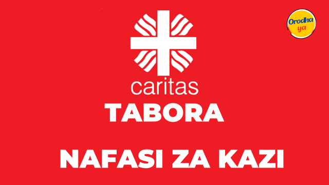 Administrative Officer Jobs, at Caritas Tabora For 'December 2023'