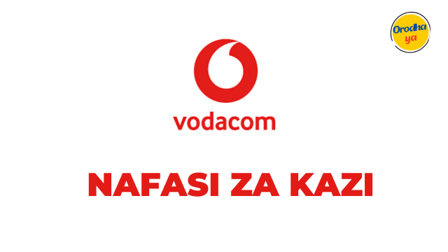 Analyst -Budget Operations Jobs at Vodacom December 2023