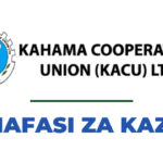 Chief Accountant Jobs at Kahama Co-operative Union Limited December 2023