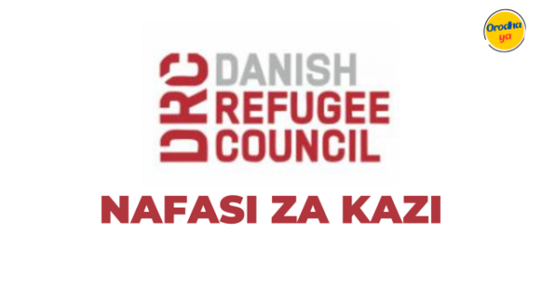 Data Clerk Jobs at Danish Refugee Council December 2023