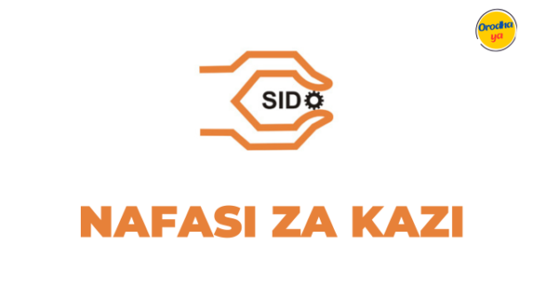 Director of Technology Development and Planning Jobs at SIDO - December 2023