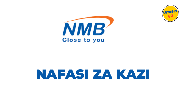 Liquidity Risk Analyst Jobs at NMB Bank December 2023