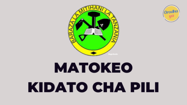 NECTA Matokeo Kidato cha pili 2023, Form two 2023-24 FTNA Results 'Released Check out'