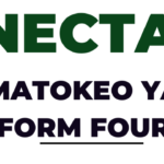 NECTA Matokeo ya Kidato cha nne 2023 CSEE 2023-24 Results Release Check Out