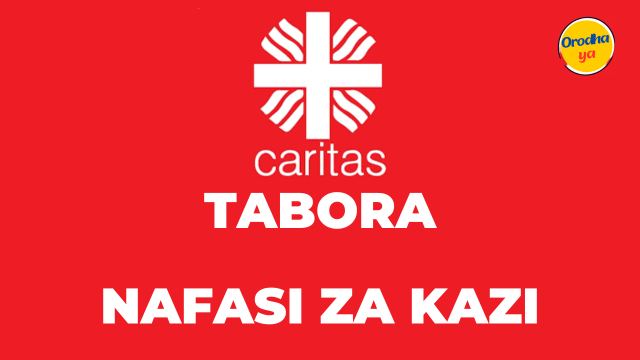 Project coordinator Jobs, at Caritas Tabora For 'December 2023'