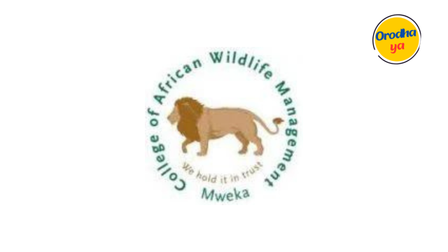 2x Library Assistant II at MWEKA For January 2024