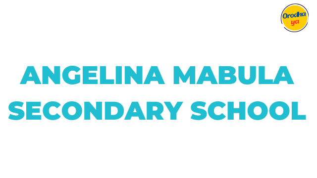 Angelina Mabula Secondary School Matokeo ya NECTA S5860 Release Check Out