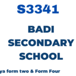 Badi Secondary School Matokeo ya NECTA Results S3341 Release Check Out