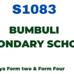Bumbuli Secondary School Matokeo ya NECTA Results S1083 Release Check Out