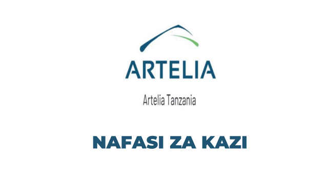 Country and Branch Representative Jobs at Artelia Tanzania