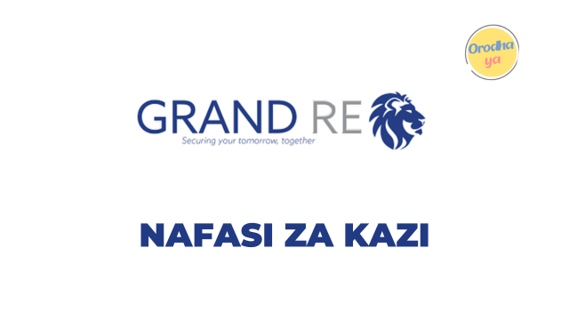Credit Control Officer Jobs at Grand Reinsurance | For January 2024