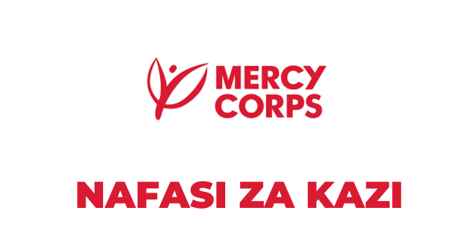 DREAMS Program Manager Jobs at Mercy Corps