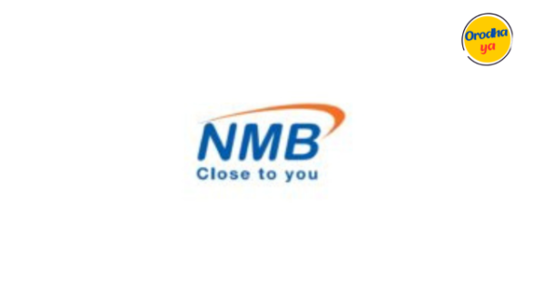Head of Internal Audit – ICT and Data Analytics Jobs at NMB Bank | January 2024