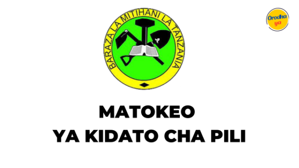 NECTA Matokeo ya Kidato cha pili 2023 Form Two 2023-24 FTNA Results Release Check out Angalia!