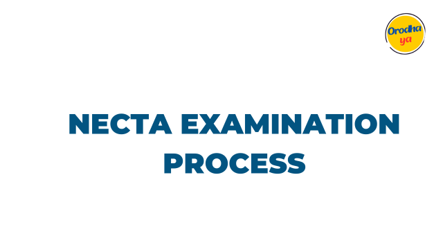 Necta Examination Process