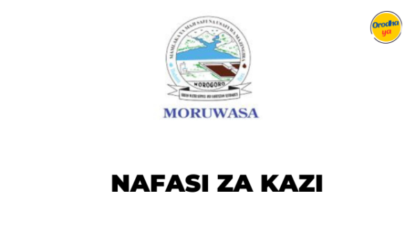 Senior Accountant II Jobs at MORUWASA :Deadline: January 12, 2024