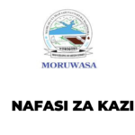 Senior Internal Auditor II Jobs at MORUWASA :Deadline: January 12, 2024
