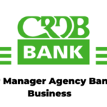 Senior Manager Agency Banking Business Jobs at CRDB