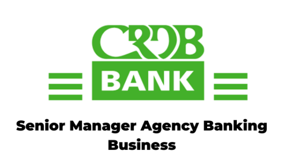 Senior Manager Agency Banking Business Jobs at CRDB