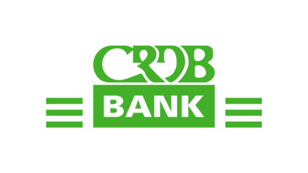 Network Operation Center (NOC) Analyst job vacancy at CRDB Bank