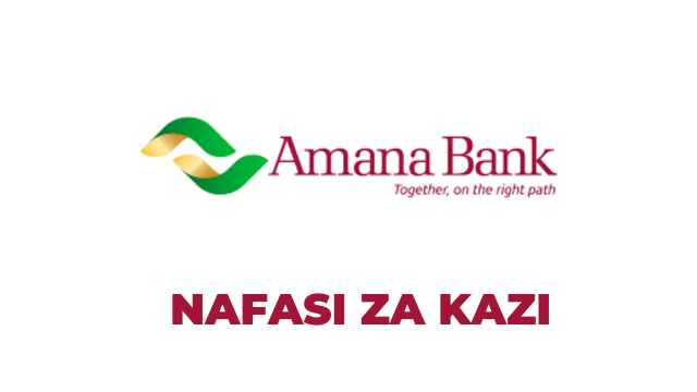 Senior Finance Officer at Amana Bank (Apply Now)