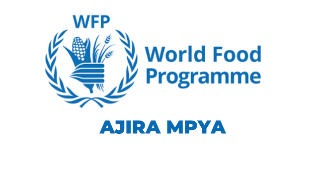 Common Back Office Manager Jobs at WFP