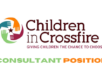 Consultant in Early Childhood Development at Children in Crossfire