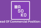 Head Of Commercial Position at Wasoko Group