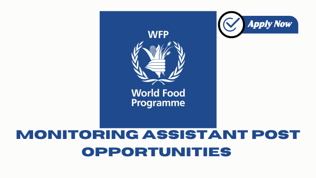 Monitoring Assistant Post Opportunities at WFP