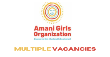 Multiple Vacancies at Amani Girls Organization