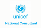 National Consultant Position at UNICEF