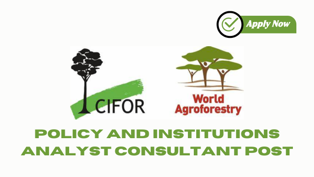Policy and Institutions Analyst Consultant Post at CIFOR-ICRAF