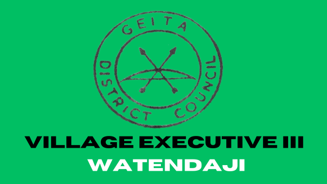 VILLAGE EXECUTIVE III – 8 POST At Geita District Council