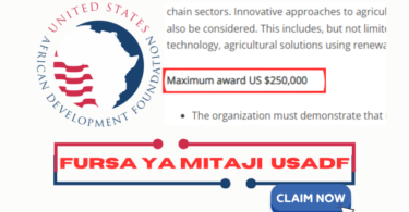 Call For Proposals at USADF | US Funding Program