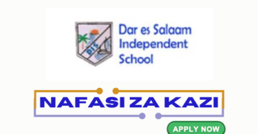 Teachers Posts at Dar es Salaam Independent School